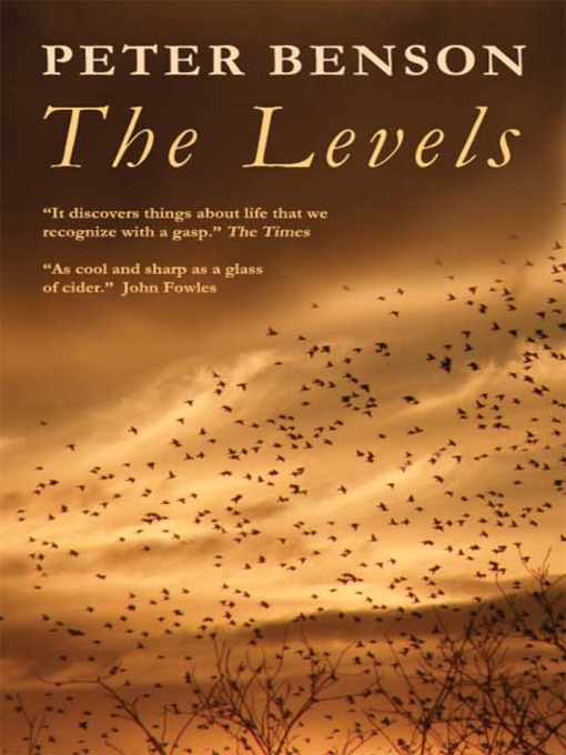 Title details for The Levels by Peter Benson - Available